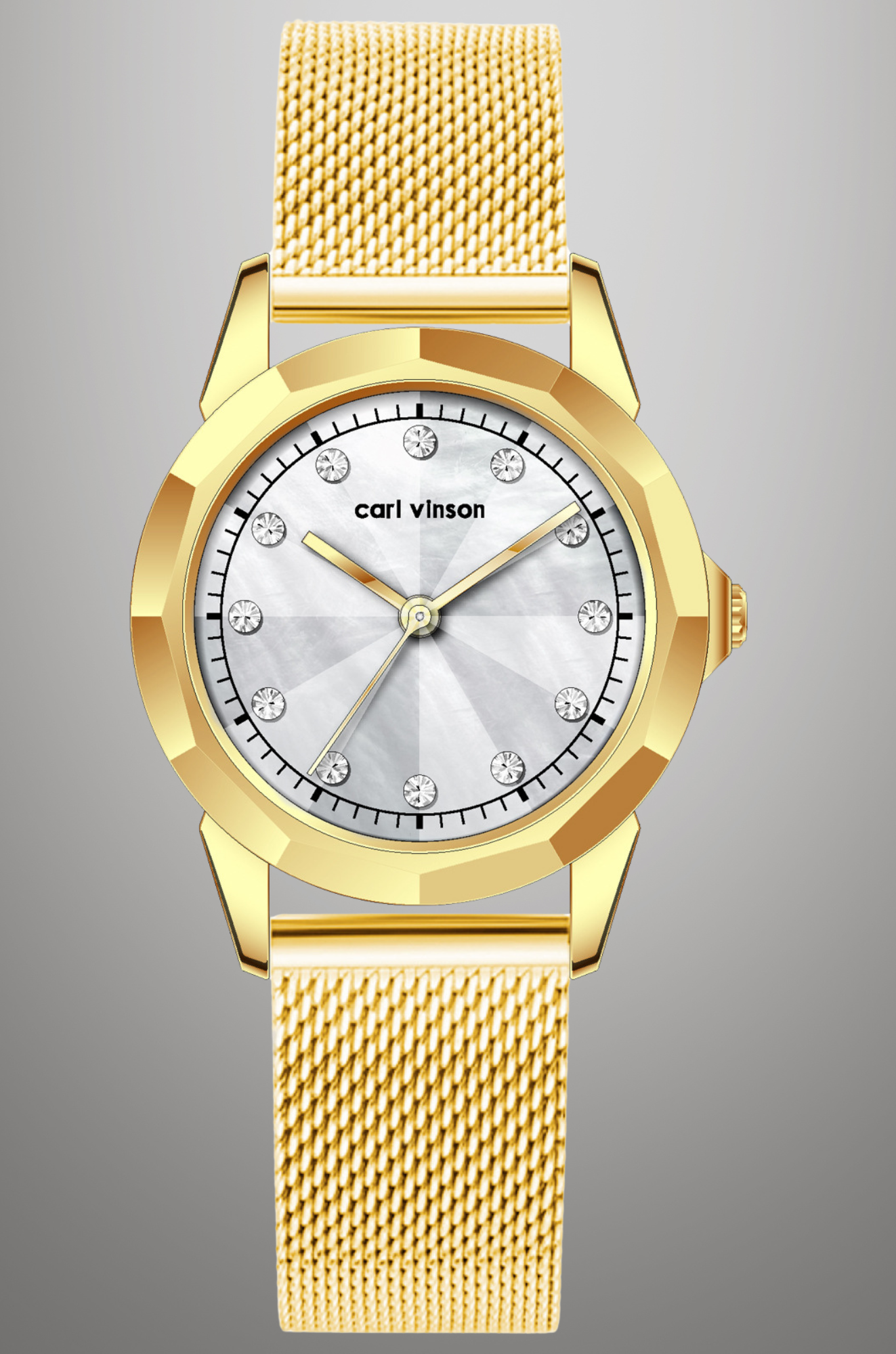 Carl Vinson - Polished Mesh Watch for Woman