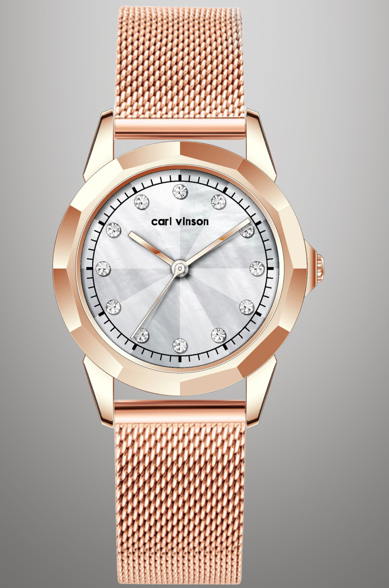 Carl Vinson - Polished Mesh Watch for Woman